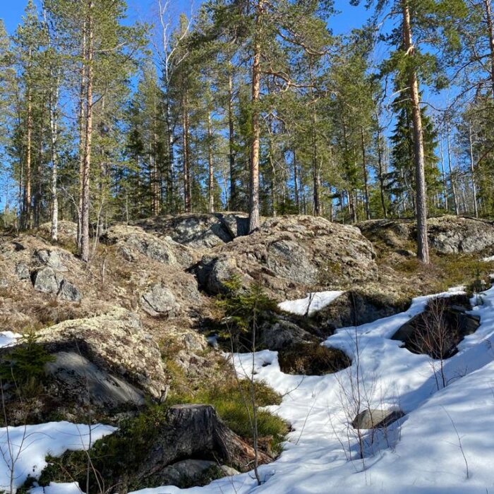 Ja seuraavat kuvat todellista suunnistusmaastoa parhaimmillaan...