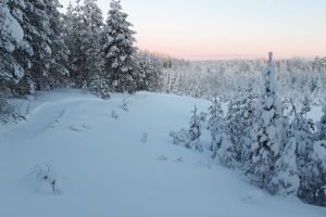 Loppiaisen pakkasissa