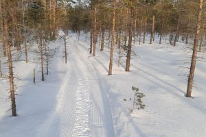 Ja siihen on hyvää vetää lanalla.