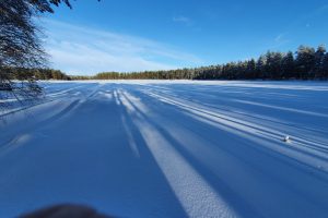 Pitkiä ovat aurinkoisen helmikuun varjot.